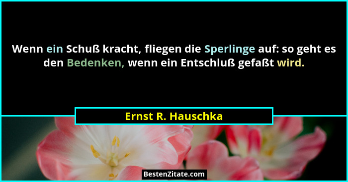Wenn ein Schuß kracht, fliegen die Sperlinge auf: so geht es den Bedenken, wenn ein Entschluß gefaßt wird.... - Ernst R. Hauschka