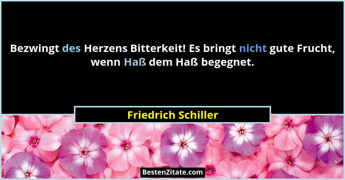 Bezwingt des Herzens Bitterkeit! Es bringt nicht gute Frucht, wenn Haß dem Haß begegnet.... - Friedrich Schiller
