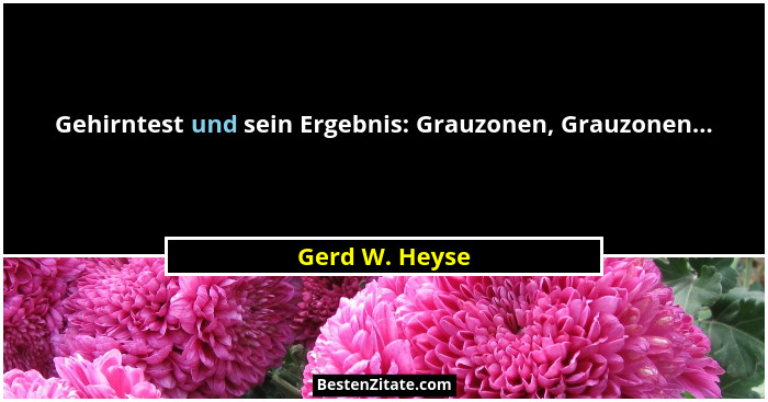 Gehirntest und sein Ergebnis: Grauzonen, Grauzonen...... - Gerd W. Heyse