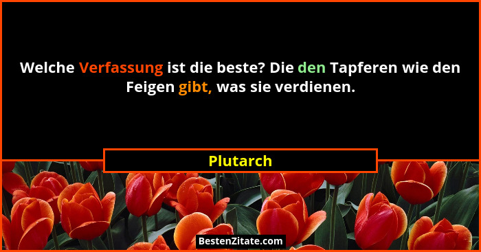Welche Verfassung ist die beste? Die den Tapferen wie den Feigen gibt, was sie verdienen.... - Plutarch