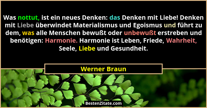 Was nottut, ist ein neues Denken: das Denken mit Liebe! Denken mit Liebe überwindet Materialismus und Egoismus und führt zu dem, was al... - Werner Braun