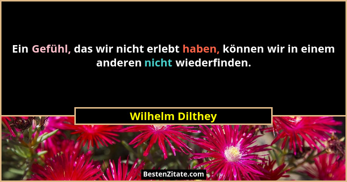 Ein Gefühl, das wir nicht erlebt haben, können wir in einem anderen nicht wiederfinden.... - Wilhelm Dilthey