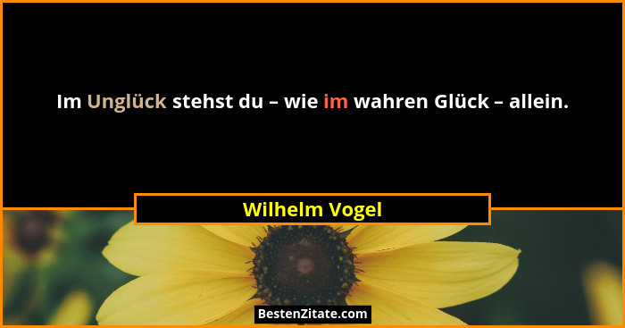 Im Unglück stehst du – wie im wahren Glück – allein.... - Wilhelm Vogel