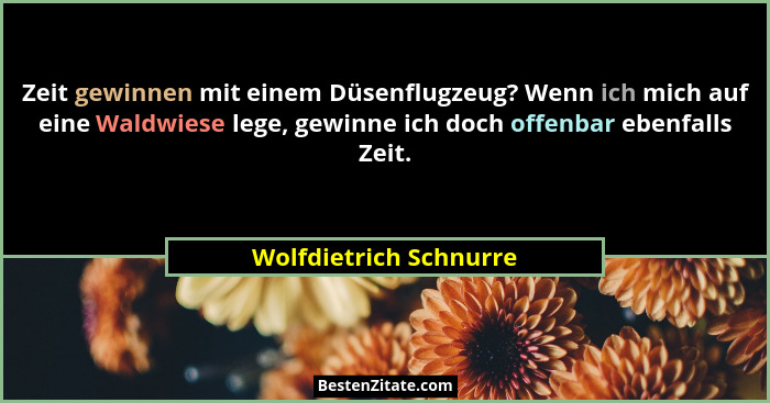 Zeit gewinnen mit einem Düsenflugzeug? Wenn ich mich auf eine Waldwiese lege, gewinne ich doch offenbar ebenfalls Zeit.... - Wolfdietrich Schnurre