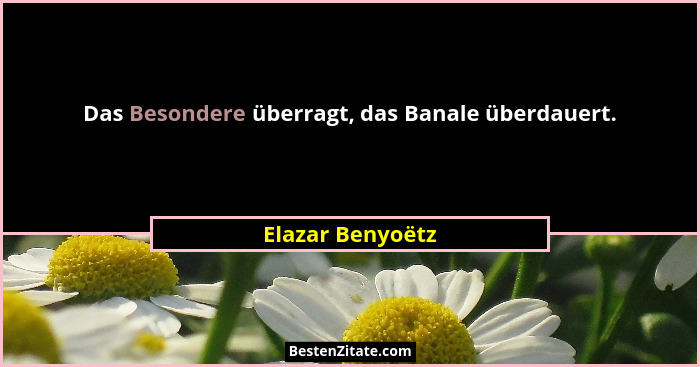 Das Besondere überragt, das Banale überdauert.... - Elazar Benyoëtz