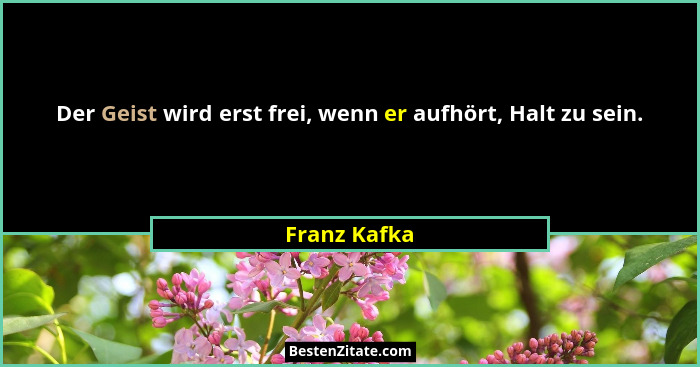 Der Geist wird erst frei, wenn er aufhört, Halt zu sein.... - Franz Kafka