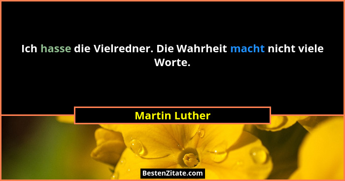 Ich hasse die Vielredner. Die Wahrheit macht nicht viele Worte.... - Martin Luther