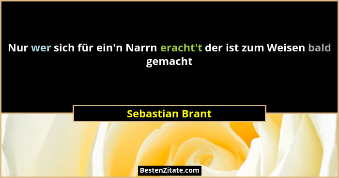 Nur wer sich für ein'n Narrn eracht't der ist zum Weisen bald gemacht... - Sebastian Brant