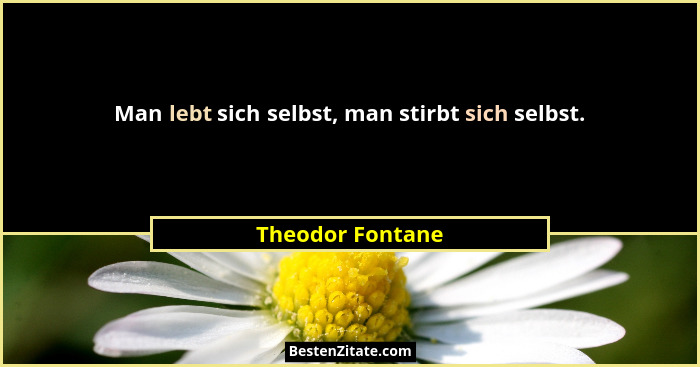 Man lebt sich selbst, man stirbt sich selbst.... - Theodor Fontane