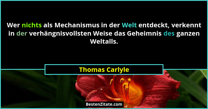 Wer nichts als Mechanismus in der Welt entdeckt, verkennt in der verhängnisvollsten Weise das Geheimnis des ganzen Weltalls.... - Thomas Carlyle