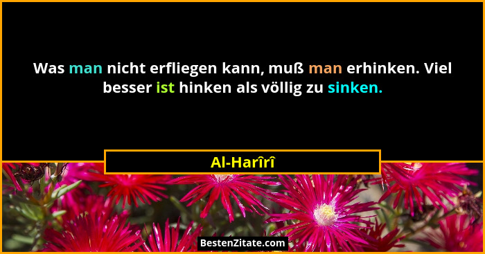 Was man nicht erfliegen kann, muß man erhinken. Viel besser ist hinken als völlig zu sinken.... - Al-Harîrî