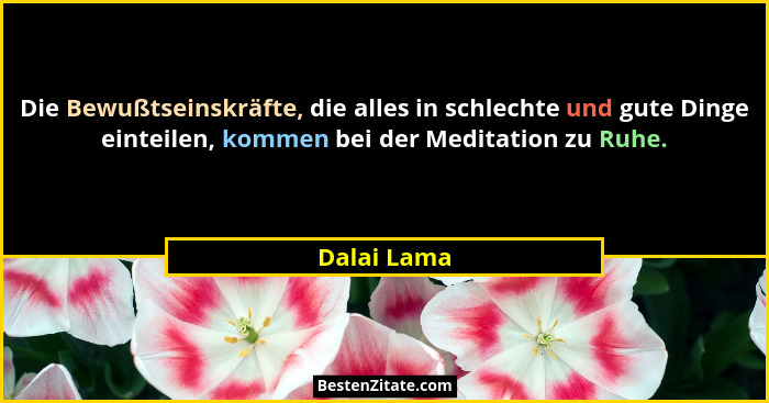 Die Bewußtseinskräfte, die alles in schlechte und gute Dinge einteilen, kommen bei der Meditation zu Ruhe.... - Dalai Lama