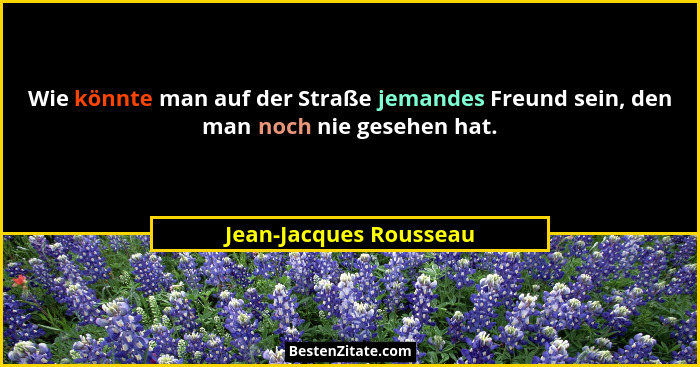 Wie könnte man auf der Straße jemandes Freund sein, den man noch nie gesehen hat.... - Jean-Jacques Rousseau