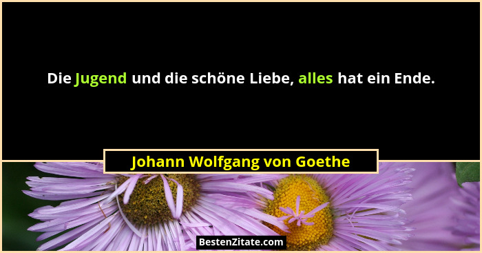 Die Jugend und die schöne Liebe, alles hat ein Ende.... - Johann Wolfgang von Goethe