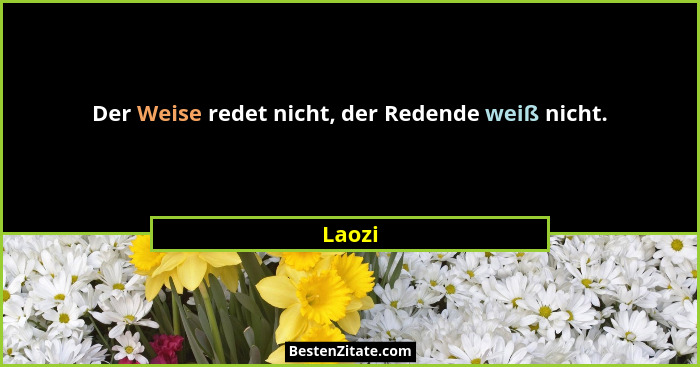 Der Weise redet nicht, der Redende weiß nicht.... - Laozi