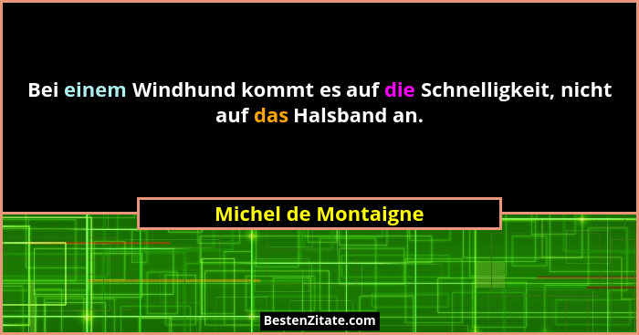 Bei einem Windhund kommt es auf die Schnelligkeit, nicht auf das Halsband an.... - Michel de Montaigne