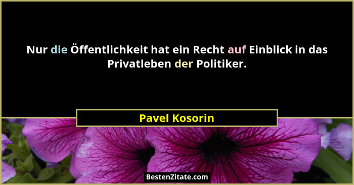 Nur die Öffentlichkeit hat ein Recht auf Einblick in das Privatleben der Politiker.... - Pavel Kosorin