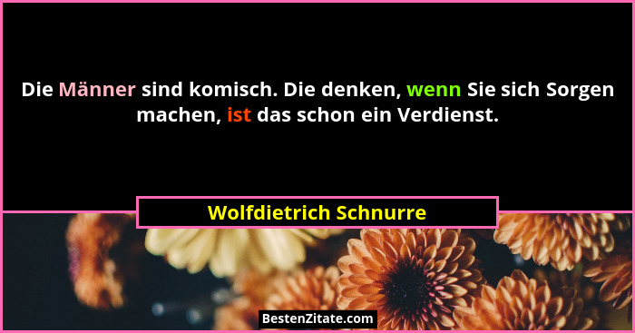 Die Männer sind komisch. Die denken, wenn Sie sich Sorgen machen, ist das schon ein Verdienst.... - Wolfdietrich Schnurre