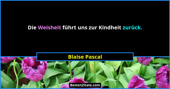 Die Weisheit führt uns zur Kindheit zurück.... - Blaise Pascal