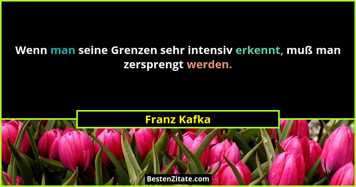 Wenn man seine Grenzen sehr intensiv erkennt, muß man zersprengt werden.... - Franz Kafka