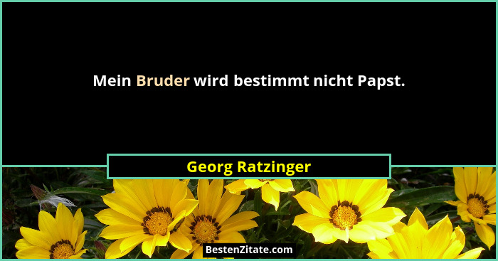 Mein Bruder wird bestimmt nicht Papst.... - Georg Ratzinger
