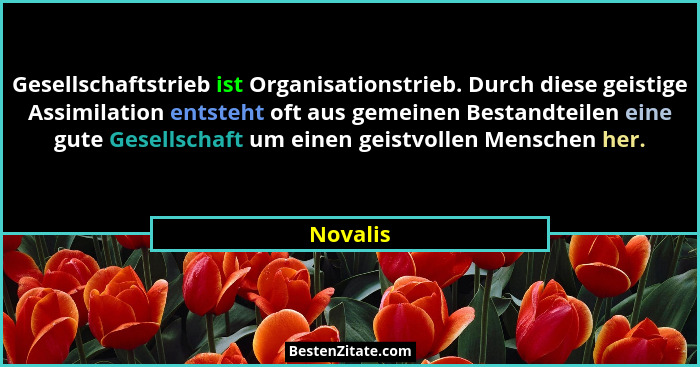 Gesellschaftstrieb ist Organisationstrieb. Durch diese geistige Assimilation entsteht oft aus gemeinen Bestandteilen eine gute Gesellschaft... - Novalis