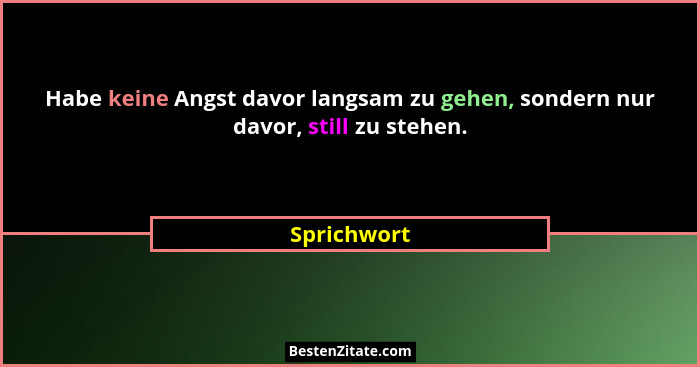 Habe keine Angst davor langsam zu gehen, sondern nur davor, still zu stehen.... - Sprichwort