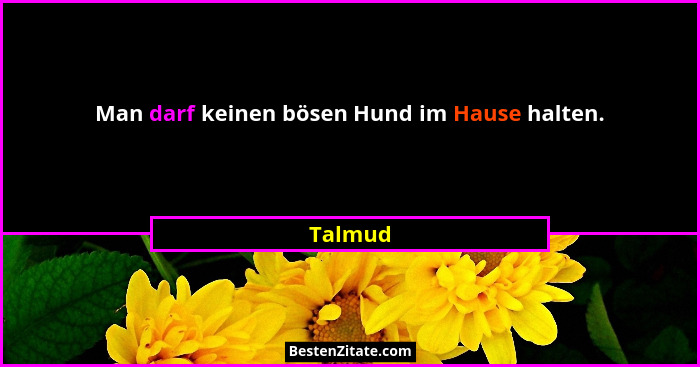 Man darf keinen bösen Hund im Hause halten.... - Talmud