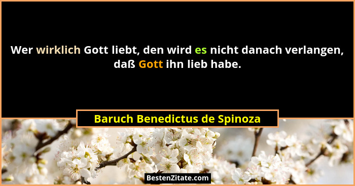 Wer wirklich Gott liebt, den wird es nicht danach verlangen, daß Gott ihn lieb habe.... - Baruch Benedictus de Spinoza