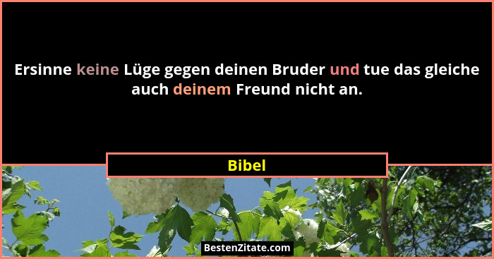 Ersinne keine Lüge gegen deinen Bruder und tue das gleiche auch deinem Freund nicht an.... - Bibel