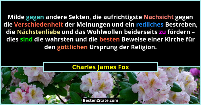 Milde gegen andere Sekten, die aufrichtigste Nachsicht gegen die Verschiedenheit der Meinungen und ein redliches Bestreben, die Nä... - Charles James Fox