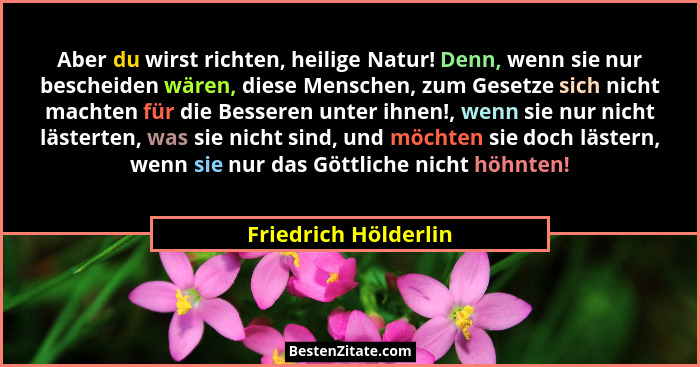 Aber du wirst richten, heilige Natur! Denn, wenn sie nur bescheiden wären, diese Menschen, zum Gesetze sich nicht machten für di... - Friedrich Hölderlin