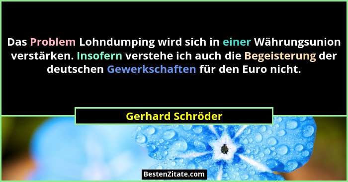 Das Problem Lohndumping wird sich in einer Währungsunion verstärken. Insofern verstehe ich auch die Begeisterung der deutschen Gewe... - Gerhard Schröder
