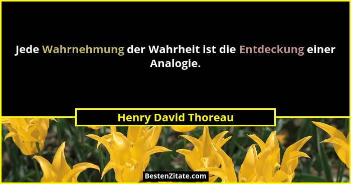 Jede Wahrnehmung der Wahrheit ist die Entdeckung einer Analogie.... - Henry David Thoreau