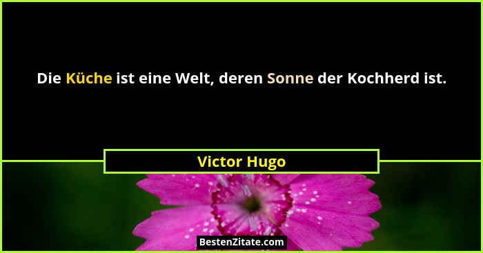 Die Küche ist eine Welt, deren Sonne der Kochherd ist.... - Victor Hugo