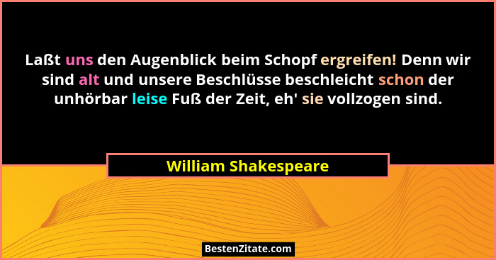 Laßt uns den Augenblick beim Schopf ergreifen! Denn wir sind alt und unsere Beschlüsse beschleicht schon der unhörbar leise Fuß... - William Shakespeare