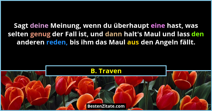 Sagt deine Meinung, wenn du überhaupt eine hast, was selten genug der Fall ist, und dann halt's Maul und lass den anderen reden, bis i... - B. Traven