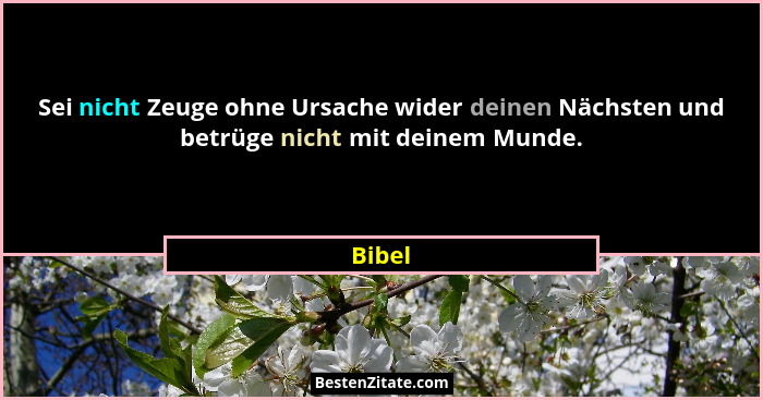 Sei nicht Zeuge ohne Ursache wider deinen Nächsten und betrüge nicht mit deinem Munde.... - Bibel