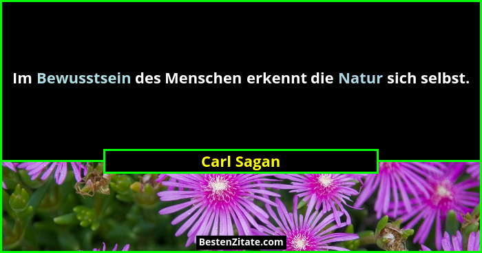 Im Bewusstsein des Menschen erkennt die Natur sich selbst.... - Carl Sagan