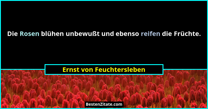 Die Rosen blühen unbewußt und ebenso reifen die Früchte.... - Ernst von Feuchtersleben