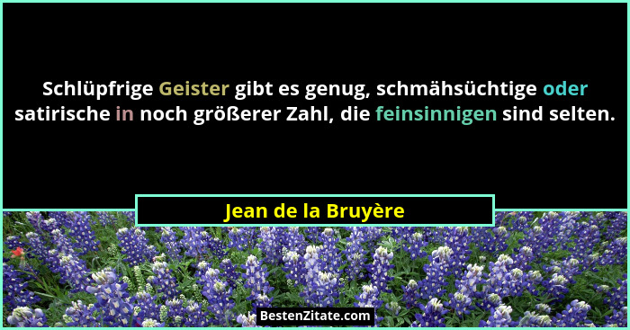 Schlüpfrige Geister gibt es genug, schmähsüchtige oder satirische in noch größerer Zahl, die feinsinnigen sind selten.... - Jean de la Bruyère