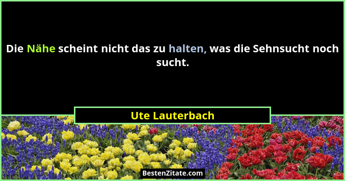 Die Nähe scheint nicht das zu halten, was die Sehnsucht noch sucht.... - Ute Lauterbach