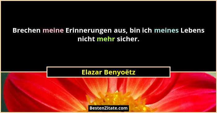 Brechen meine Erinnerungen aus, bin ich meines Lebens nicht mehr sicher.... - Elazar Benyoëtz