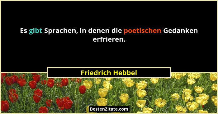 Es gibt Sprachen, in denen die poetischen Gedanken erfrieren.... - Friedrich Hebbel