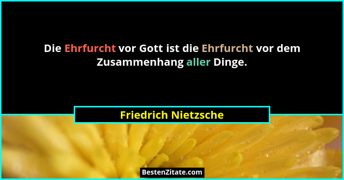 Die Ehrfurcht vor Gott ist die Ehrfurcht vor dem Zusammenhang aller Dinge.... - Friedrich Nietzsche