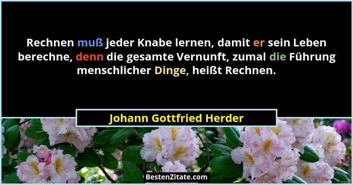 Rechnen muß jeder Knabe lernen, damit er sein Leben berechne, denn die gesamte Vernunft, zumal die Führung menschlicher Ding... - Johann Gottfried Herder