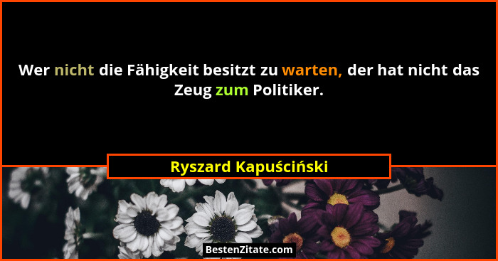Wer nicht die Fähigkeit besitzt zu warten, der hat nicht das Zeug zum Politiker.... - Ryszard Kapuściński