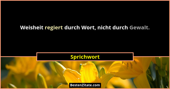 Weisheit regiert durch Wort, nicht durch Gewalt.... - Sprichwort