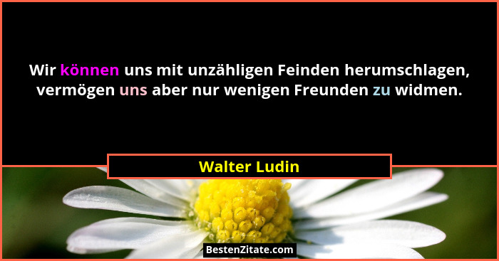 Wir können uns mit unzähligen Feinden herumschlagen, vermögen uns aber nur wenigen Freunden zu widmen.... - Walter Ludin