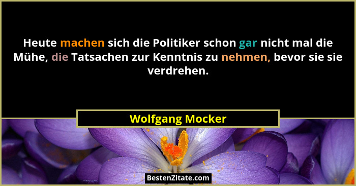Heute machen sich die Politiker schon gar nicht mal die Mühe, die Tatsachen zur Kenntnis zu nehmen, bevor sie sie verdrehen.... - Wolfgang Mocker
